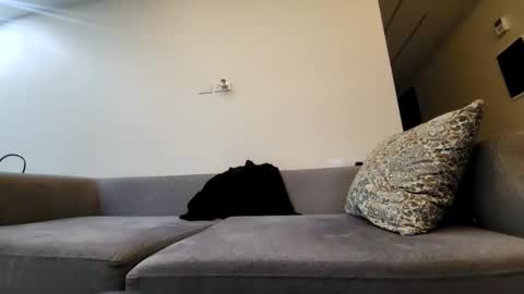 Snapshot of talacros chatting on February 2025 11:55:01 PM Tala online show from February 2025 11:55:01 PM