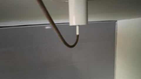 tali  online show from April 2026 12:16:02 PM