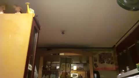 taliban809 online show from February 2025 08:05:02 AM