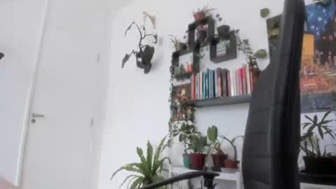 Snapshot of talimajid chatting on November 2025 11:44:01 AM Tali Majid online show from November 2025 11:44:01 AM