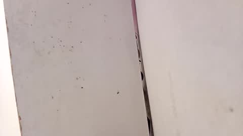 Snapshot of tall6feet7inch chatting on February 2026 03:31:01 PM tall6feet7inch online show from February 2026 03:31:01 PM