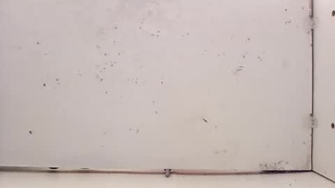 Snapshot of tall6feet7inch chatting on February 2026 05:24:01 PM tall6feet7inch online show from February 2026 05:24:01 PM