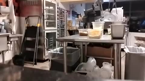 The Man of Steel online show from September 2025 02:44:01 AM