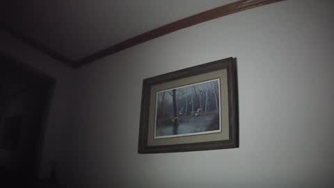 tallnfitstud online show from November 2025 11:09:01 AM