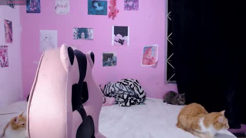 Alejandra Independent model online show from December 2024 06:02:02 AM