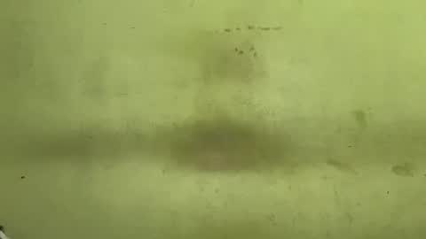 Tanya online show from November 2025 04:45:02 AM