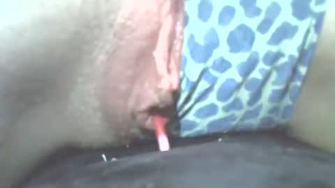 tamesbury online show from November 2025 02:25:01 AM