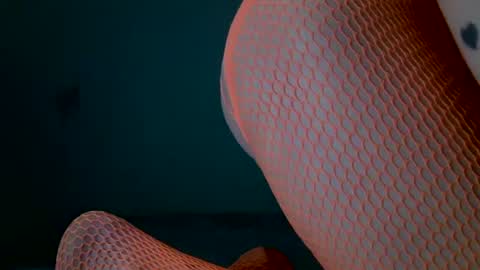 tamesbury online show from March 2026 02:04:02 AM