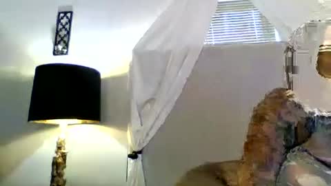 Tammygold online show from June 2026 07:23:01 PM