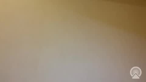 tanelure online show from January 2026 08:07:01 PM