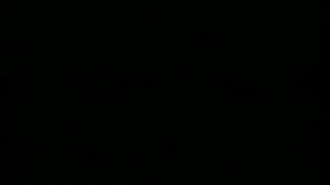 taneyone online show from December 2024 06:44:01 PM