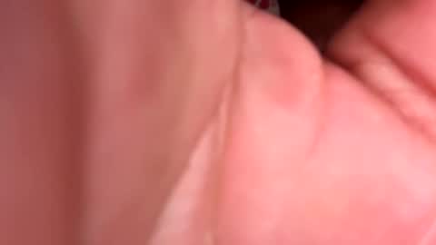 tasmanwawatai27 online show from February 2026 12:05:02 PM