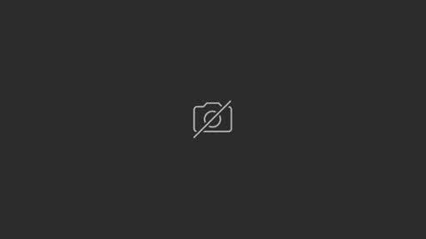 tatix online show from May 2026 06:38:02 PM