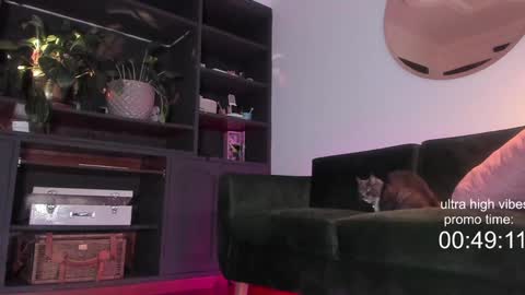 Nathalie Hardy  online show from December 2024 10:23:01 PM