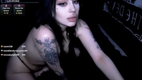 tattoorug online show from March 2026 05:44:01 AM