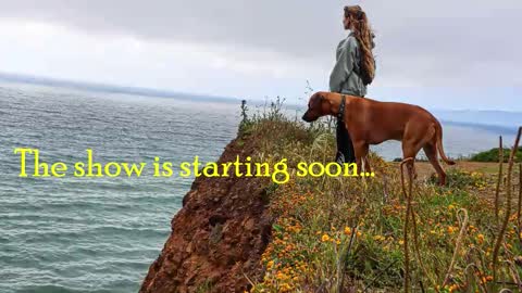 TATUM  ALL MY LINKS  online show from February 2026 02:49:02 AM