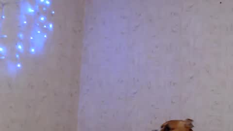 Taya online show from January 2026 09:05:02 PM