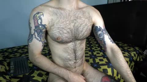 Taylor online show from February 2026 04:37:02 PM