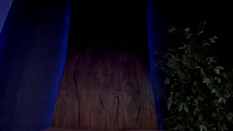 Taylor  Help me to get 100 thumbs up online show from December 2024 02:24:02 PM