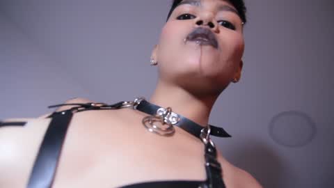 Snapshot of taylorharp chatting on January 2025 08:11:02 PM Taylor online show from January 2025 08:11:02 PM