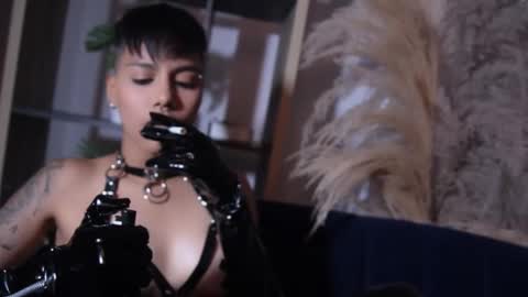 Snapshot of taylorharp chatting on October 2025 07:00:01 PM Taylor online show from October 2025 07:00:01 PM