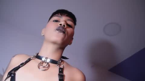 Snapshot of taylorharp chatting on November 2025 08:09:01 PM Taylor online show from November 2025 08:09:01 PM