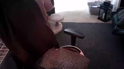 teemo337122 online show from February 2025 01:06:01 PM