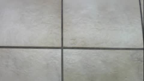 teninchheels online show from December 2024 01:00:01 PM