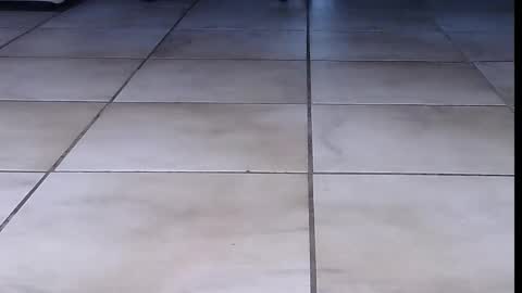 teninchheels online show from September 2025 06:31:02 PM