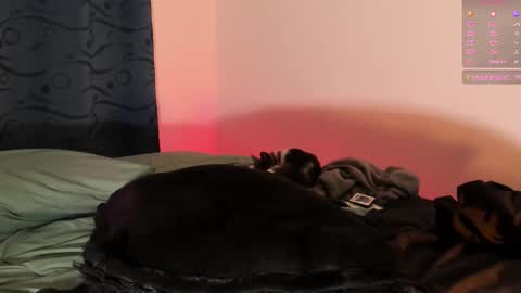 Teo online show from March 2025 09:15:01 PM