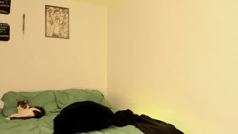 Teo online show from September 2025 02:50:02 PM