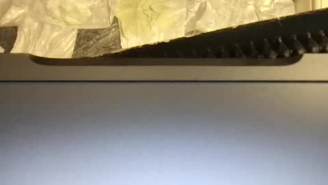 Terence online show from November 2025 04:55:01 AM