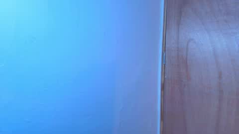 Snapshot of terraelowen chatting on February 2026 11:19:01 AM Terra Elowen online show from February 2026 11:19:01 AM