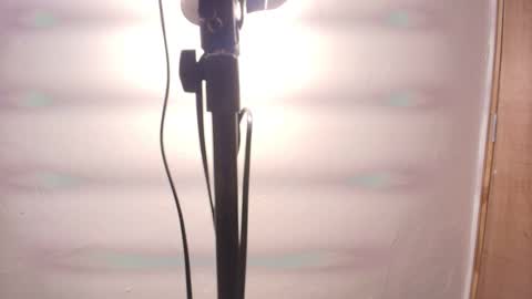 Snapshot of terraelowen chatting on February 2026 11:31:02 AM Terra Elowen online show from February 2026 11:31:02 AM