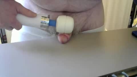 Snapshot of testechat chatting on February 2026 07:56:02 PM Test the Chat online show from February 2026 07:56:02 PM