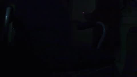 tetuo2 online show from September 2025 09:36:02 AM