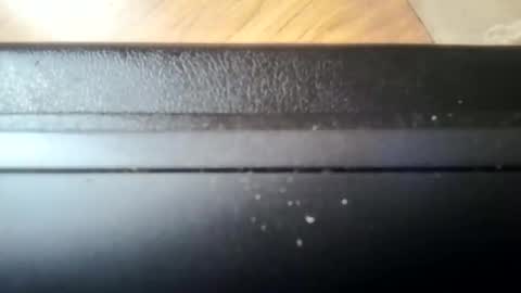 cum eat online show from May 2026 10:32:02 AM