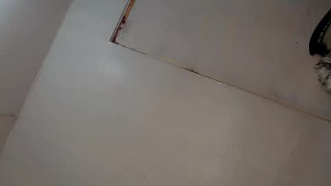 Luna online show from March 2025 03:06:01 AM