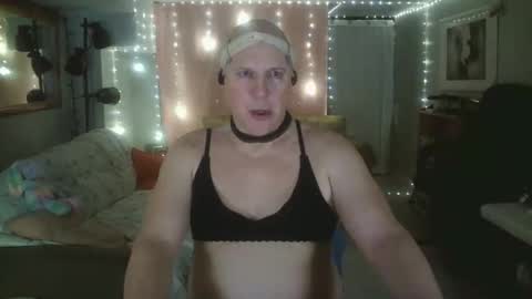 lacey online show from February 2026 01:41:01 PM