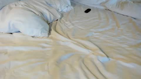 Snapshot of thatguyfromx chatting on February 2026 04:11:02 PM That guy follow on X online show from February 2026 04:11:02 PM