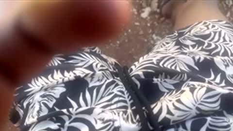 thatoneguy2802 online show from January 2026 07:57:01 AM