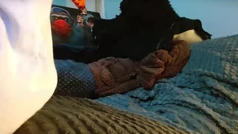 GIORGGIO online show from April 2026 12:38:02 AM