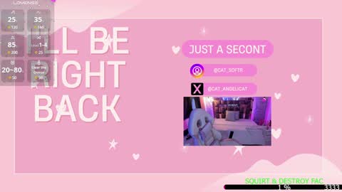 i am Cat  online show from January 2025 09:52:02 PM