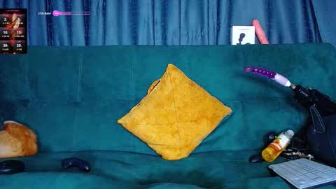 the dog lian online show from March 2026 02:19:01 AM