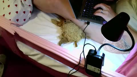 Stephan 34  Cassandra 25 online show from June 2026 08:44:01 PM