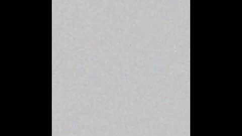 Snapshot of thefckingwolf chatting on November 2025 02:43:02 PM Wolf Independent model online show from November 2025 02:43:02 PM