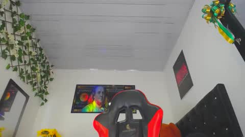 Prince online show from December 2024 02:52:01 PM