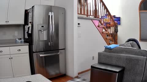 thegreat6268469 online show from September 2025 02:04:02 AM