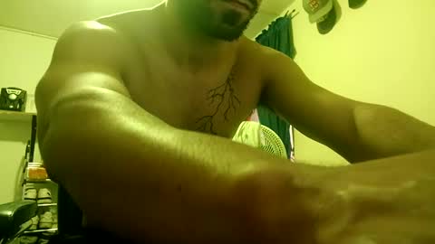 thehousedog online show from February 2025 06:32:02 PM