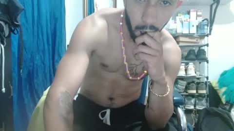 thehousedog online show from February 2025 05:04:01 PM